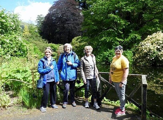 Benmore Garden